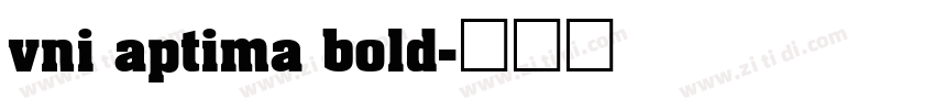 vni aptima bold字体转换